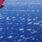 DSC00501