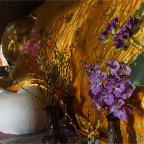 DSC00181