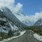 DSC08605