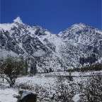 DSC08658