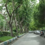 DSC07474