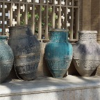 DSC07544