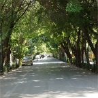 DSC07552