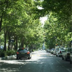DSC07603