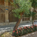 DSC07698