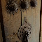 DSC07728
