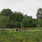 DSC07778