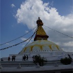 DSC09815