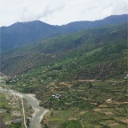 DSC09933