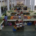 DSC00052